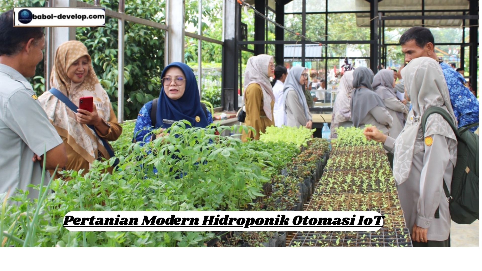 Pertanian Modern Hidroponik Otomasi IoT