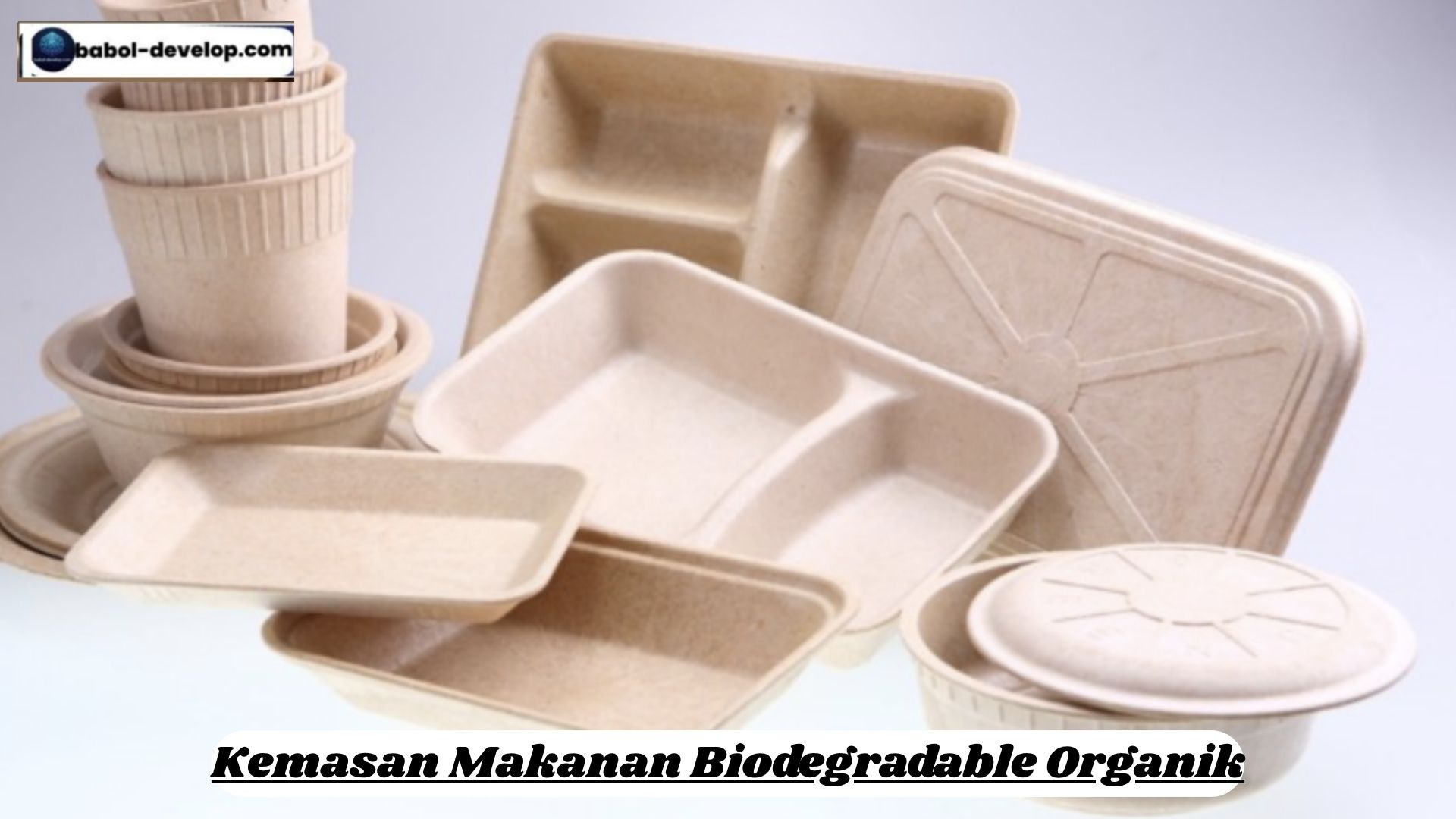Kemasan Makanan Biodegradable Organik